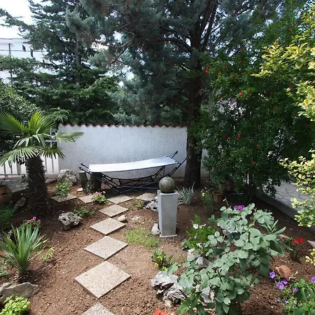 Katja * 자드라보노